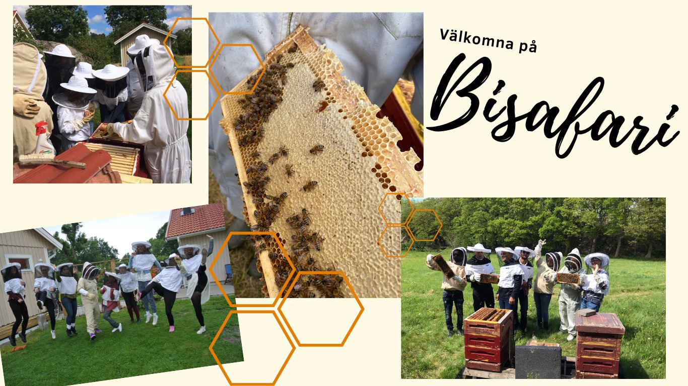 Välkomna på bisafari på Djäknegårdens honung